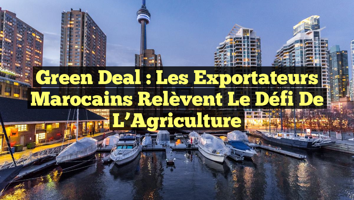 Green Deal : Les Exportateurs Marocains Relèvent le Défi de l&rsquo;Agriculture