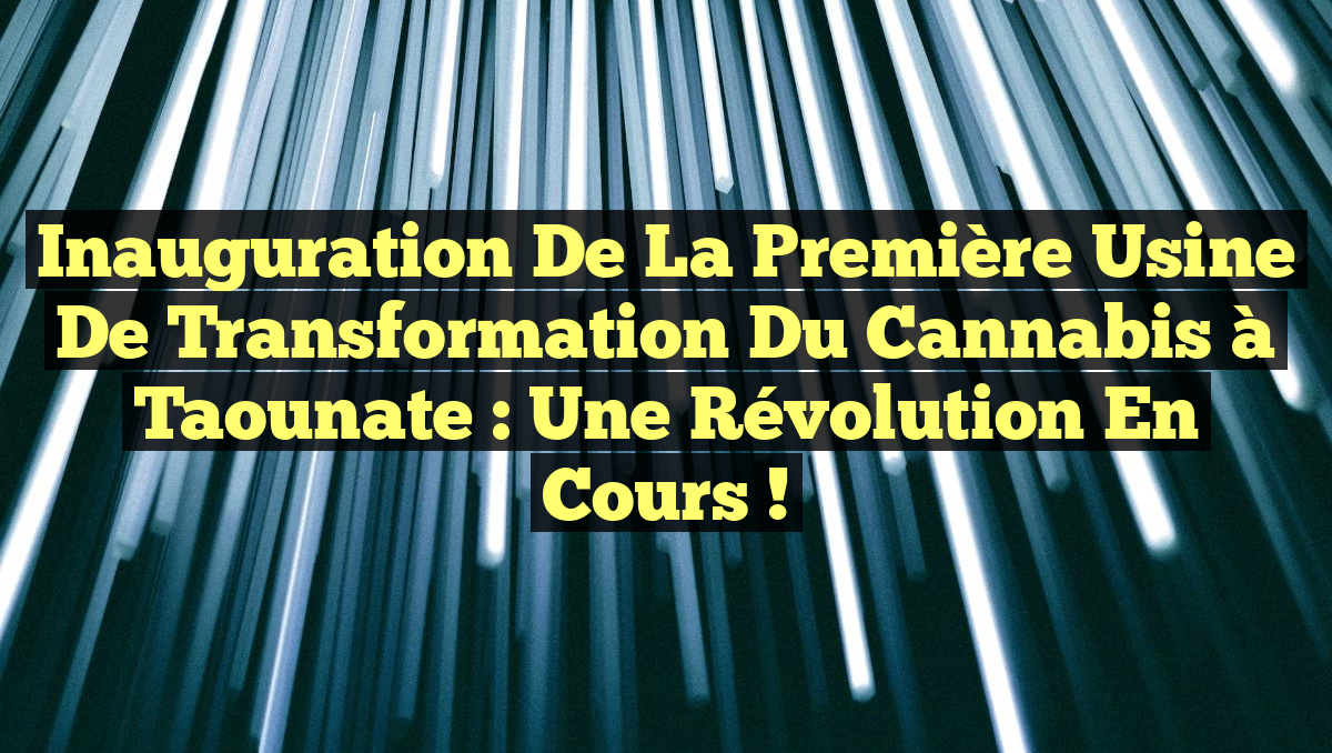 Inauguration de la Première Usine de Transformation du Cannabis à Taounate : Une Révolution en Cours !