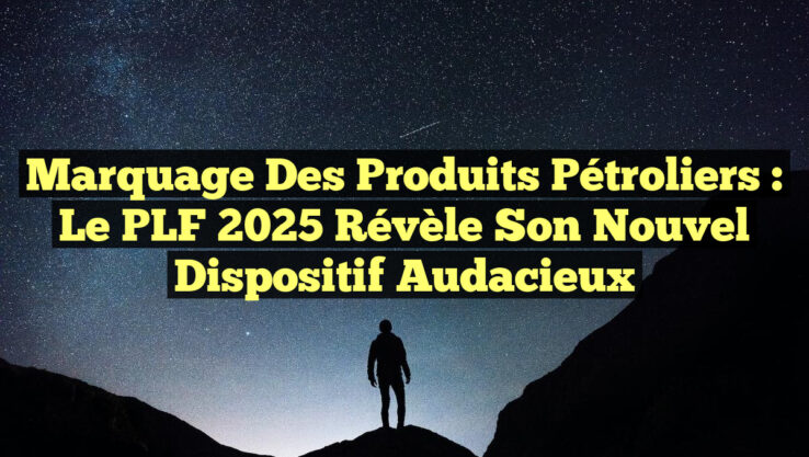 Marquage des Produits Pétroliers : Le PLF 2025 Révèle son Nouvel Dispositif Audacieux Marquage des Produits Pétroliers : Le PLF 2025 Révèle son Nouvel Dispositif Audacieux