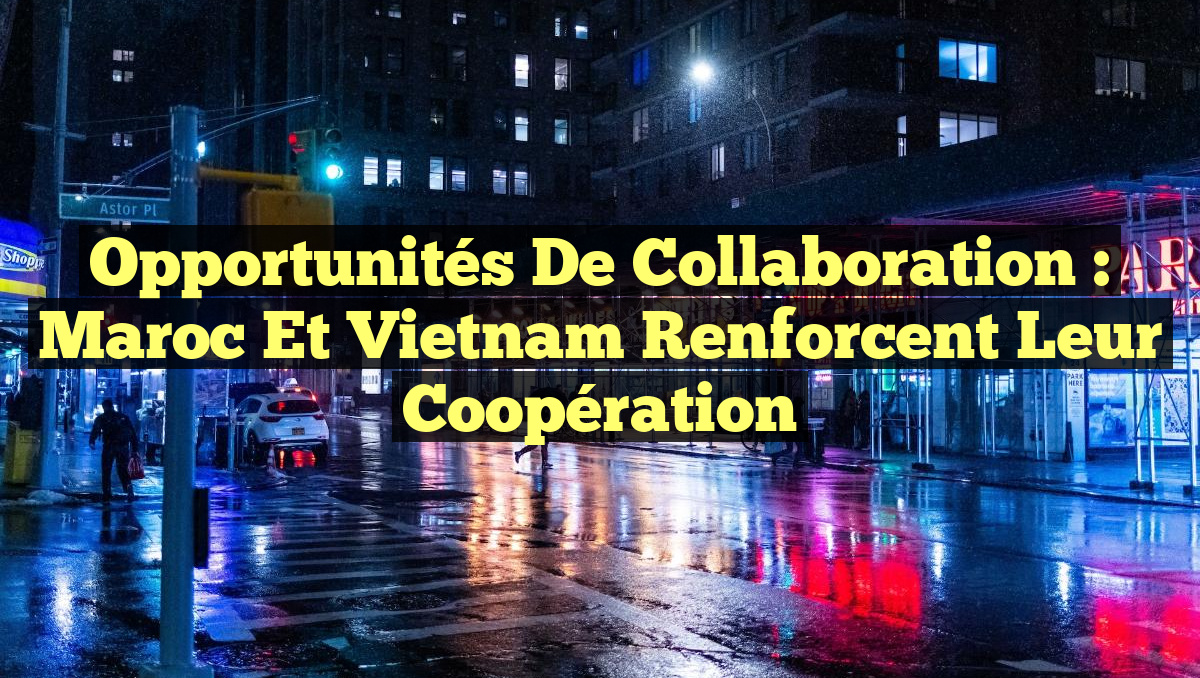 Opportunités de Collaboration : Maroc et Vietnam Renforcent leur Coopération