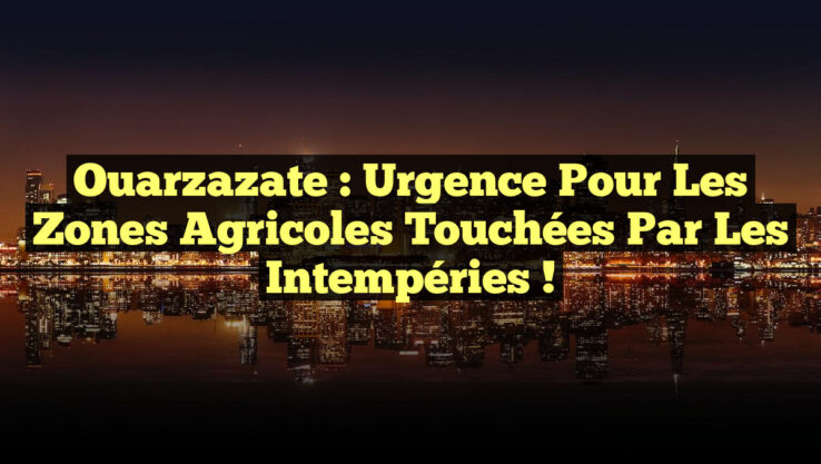 Ouarzazate : Urgence pour les Zones Agricoles Touchées par les Intempéries !