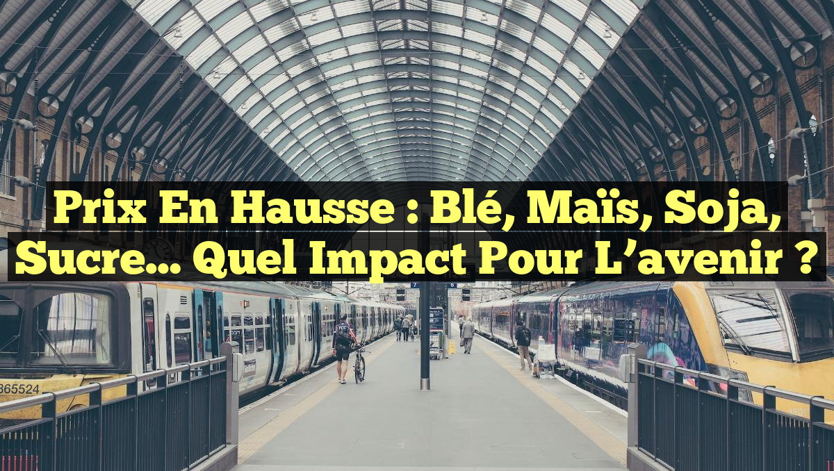 Prix en hausse : Blé, maïs, soja, sucre… quel impact pour l&rsquo;avenir ?