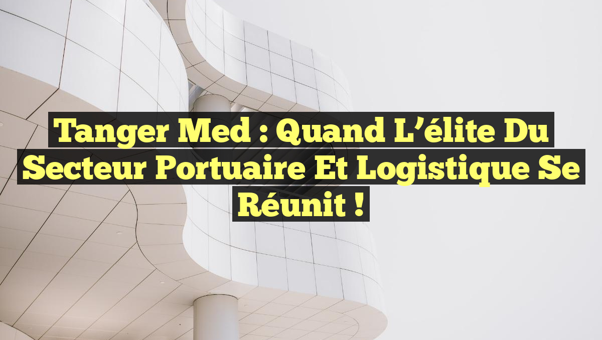 Tanger Med : Quand l&rsquo;élite du secteur portuaire et logistique se réunit !