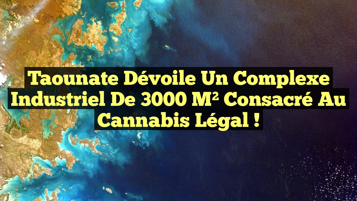 Taounate dévoile un complexe industriel de 3000 m² consacré au Cannabis légal !