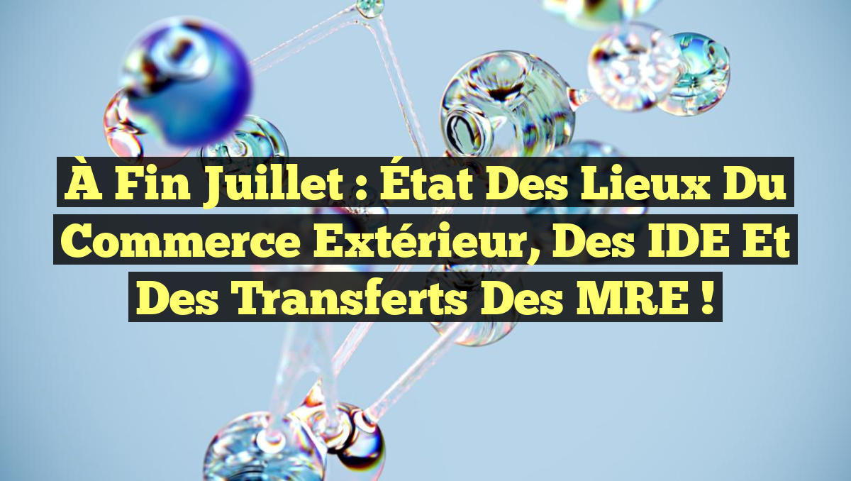 À fin juillet : État des lieux du Commerce extérieur, des IDE et des Transferts des MRE !