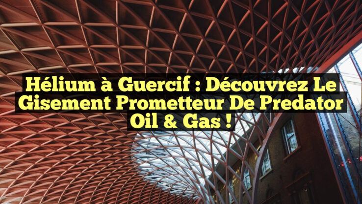 Hélium à Guercif : Découvrez le gisement prometteur de Predator Oil & Gas !