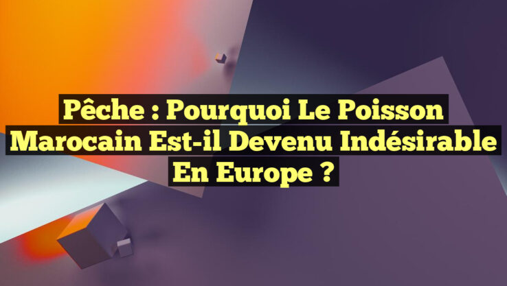 Pêche : Pourquoi le poisson marocain est-il devenu indésirable en Europe ?