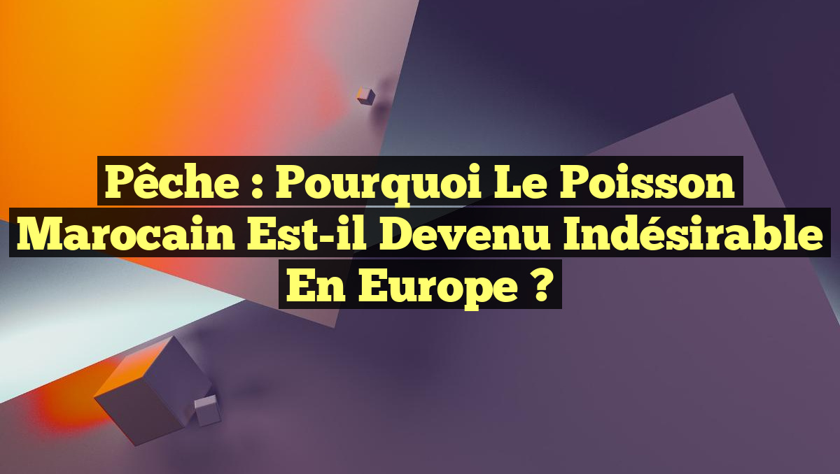 Pêche : Pourquoi le poisson marocain est-il devenu indésirable en Europe ?