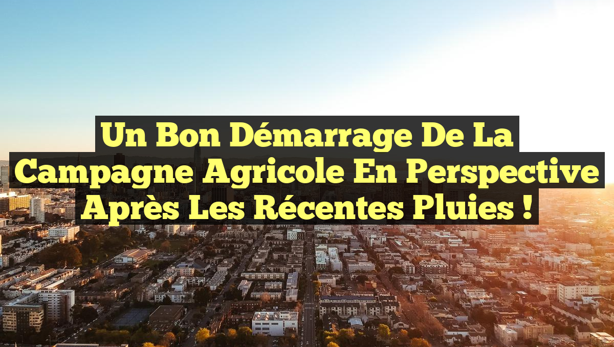 Un bon démarrage de la campagne agricole en perspective après les récentes pluies !