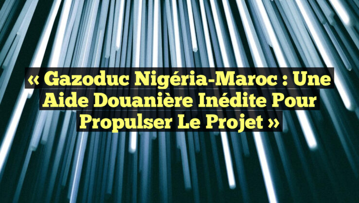 « Gazoduc Nigéria-Maroc : Une aide douanière inédite pour propulser le projet » « Gazoduc Nigéria-Maroc : Une aide douanière inédite pour propulser le projet »