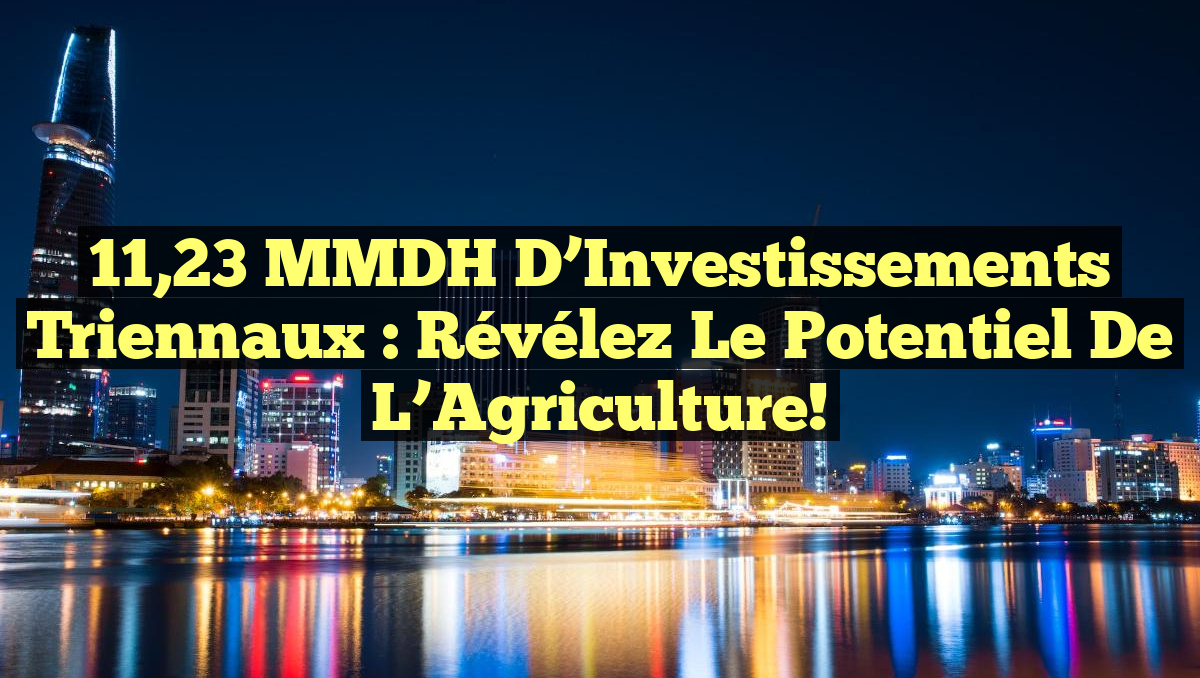 11,23 MMDH d&rsquo;Investissements Triennaux : Révélez le Potentiel de l&rsquo;Agriculture!