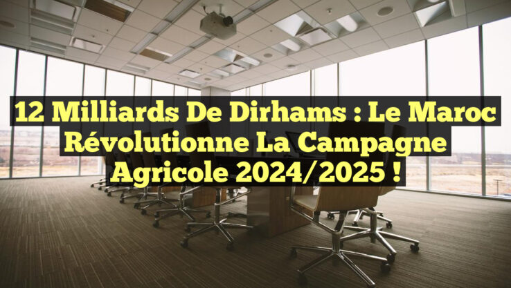 12 Milliards de Dirhams : Le Maroc Révolutionne la Campagne Agricole 2024/2025 !