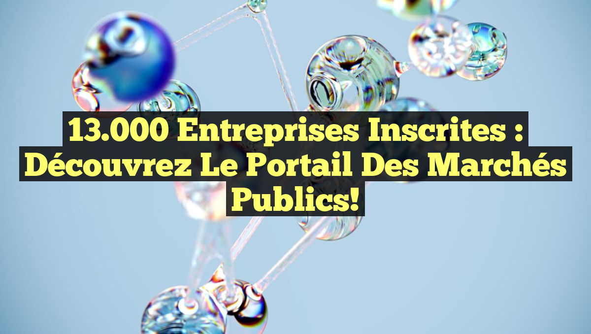 13.000 Entreprises Inscrites : Découvrez le Portail des Marchés Publics!
