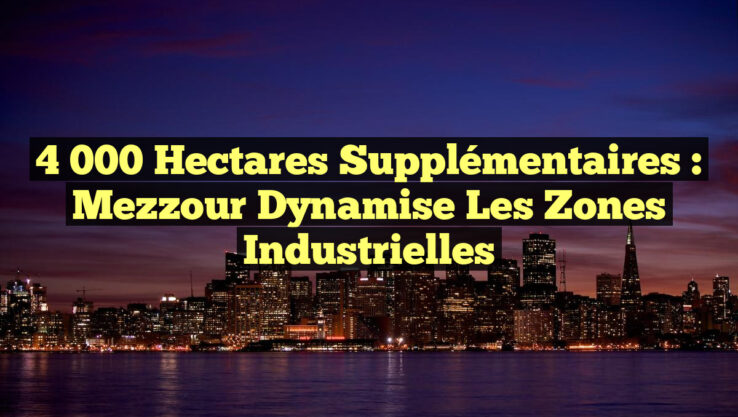 4 000 Hectares Supplémentaires : Mezzour Dynamise les Zones Industrielles 4 000 Hectares Supplémentaires : Mezzour Dynamise les Zones Industrielles