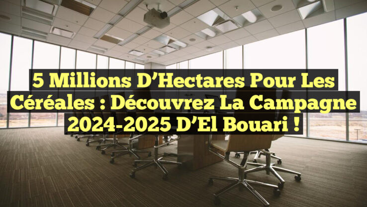 5 Millions d’Hectares pour les Céréales : Découvrez la Campagne 2024-2025 d’El Bouari ! 5 Millions d’Hectares pour les Céréales : Découvrez la Campagne 2024-2025 d’El Bouari !