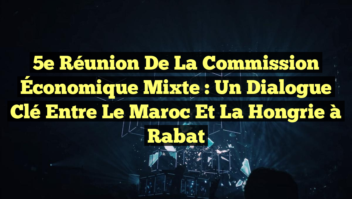 5e Réunion de la Commission Économique Mixte : Un Dialogue Clé entre le Maroc et la Hongrie à Rabat