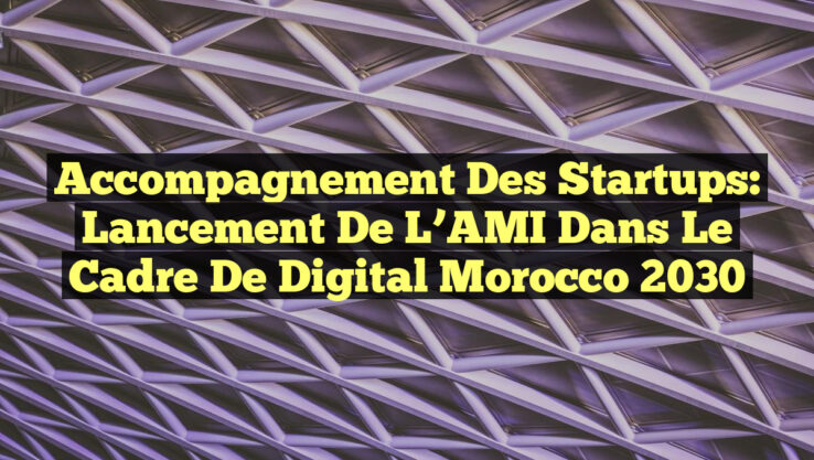 Accompagnement des Startups: Lancement de l’AMI dans le Cadre de Digital Morocco 2030