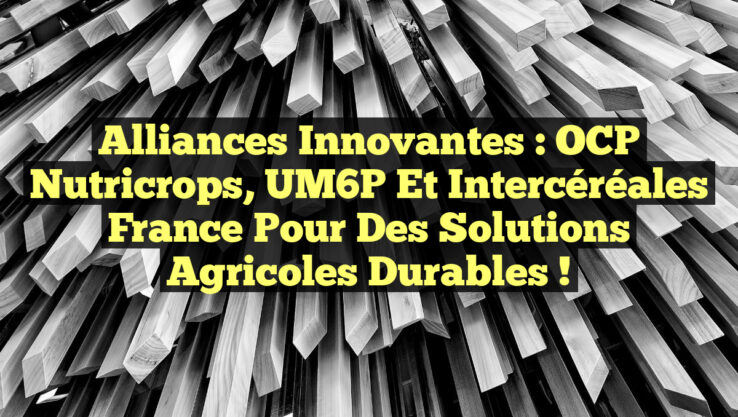 Alliances Innovantes : OCP Nutricrops, UM6P et Intercéréales France pour des Solutions Agricoles Durables !