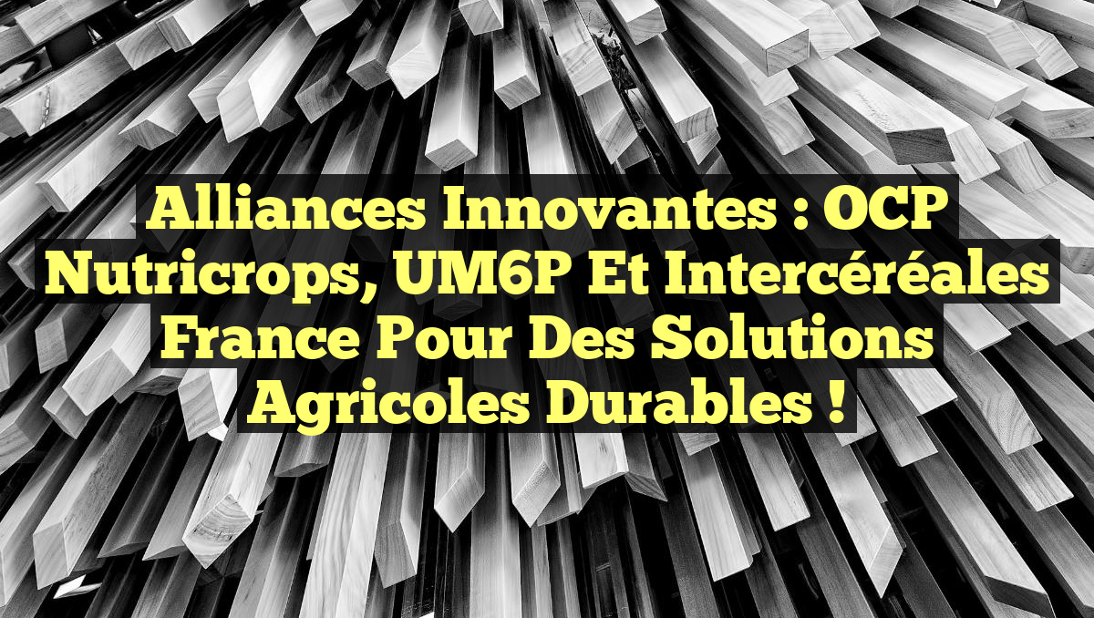 Alliances Innovantes : OCP Nutricrops, UM6P et Intercéréales France pour des Solutions Agricoles Durables !