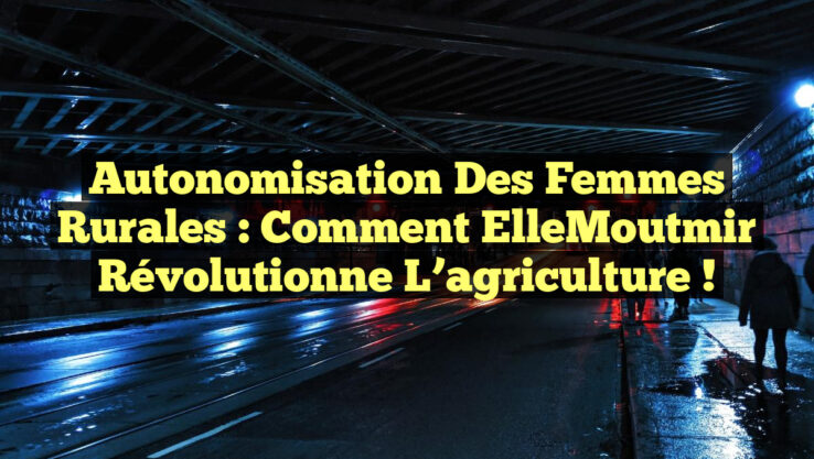 Autonomisation des femmes rurales : Comment ElleMoutmir révolutionne l’agriculture !