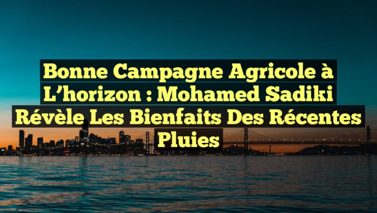 Bonne campagne agricole à l’horizon : Mohamed Sadiki révèle les bienfaits des récentes pluies