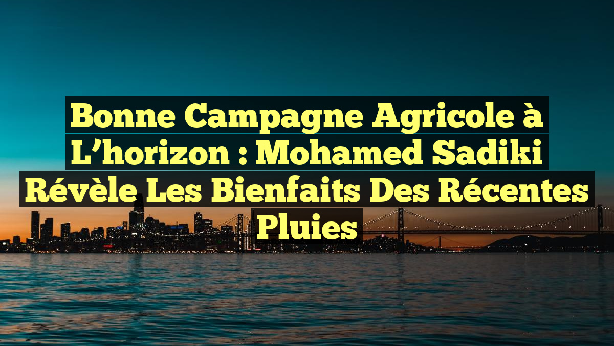 Bonne campagne agricole à l&rsquo;horizon : Mohamed Sadiki révèle les bienfaits des récentes pluies