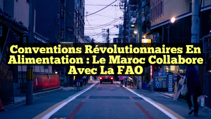 Conventions Révolutionnaires en Alimentation : Le Maroc Collabore avec la FAO