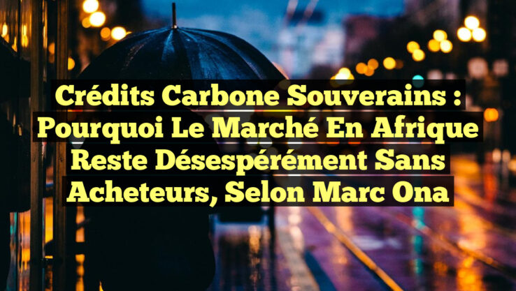 Crédits carbone souverains : Pourquoi le marché en Afrique reste désespérément sans acheteurs, selon Marc Ona Crédits carbone souverains : Pourquoi le marché en Afrique reste désespérément sans acheteurs, selon Marc Ona