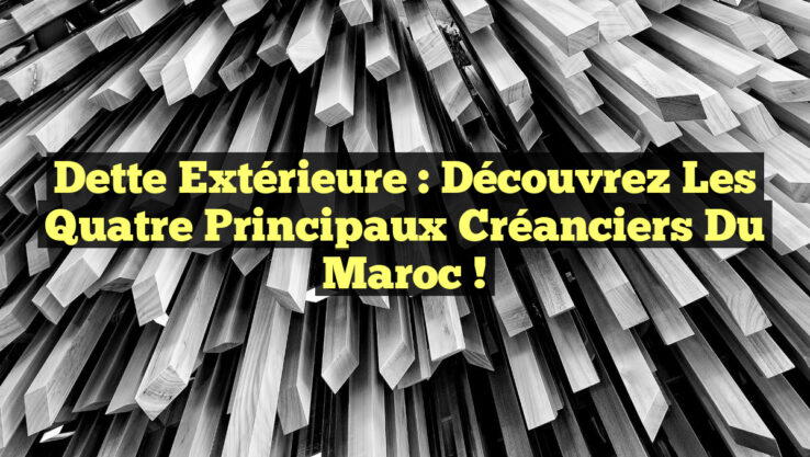 Dette extérieure : Découvrez les quatre principaux créanciers du Maroc !