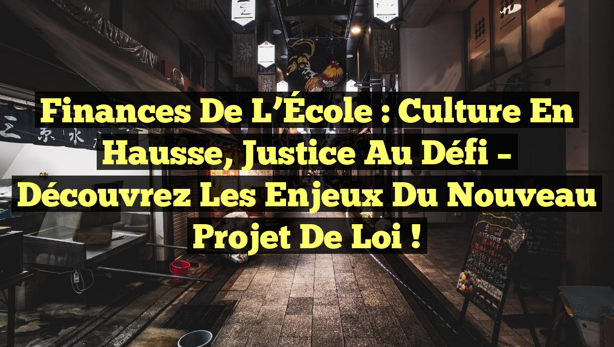 Finances de l&rsquo;École : Culture en hausse, Justice au défi – Découvrez les enjeux du nouveau projet de loi !