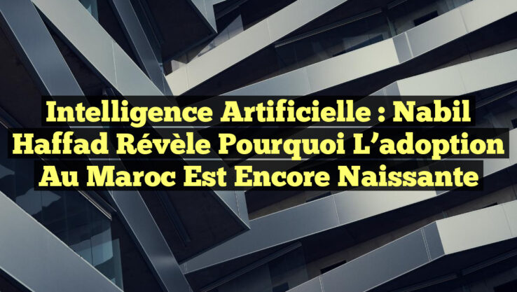 Intelligence Artificielle : Nabil Haffad révèle pourquoi l’adoption au Maroc est encore naissante