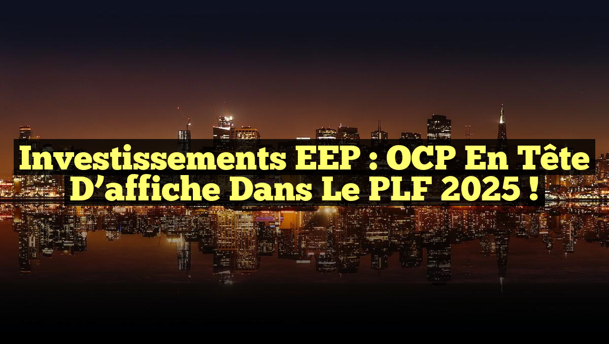 Investissements EEP : OCP en tête d&rsquo;affiche dans le PLF 2025 !