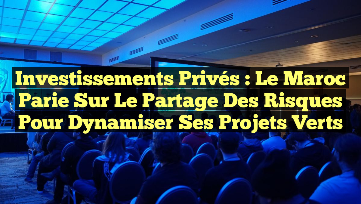 Investissements privés : Le Maroc parie sur le partage des risques pour dynamiser ses projets verts