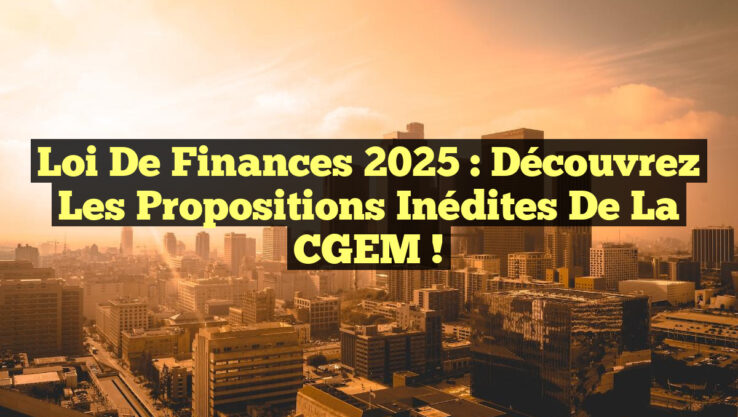Loi de Finances 2025 : Découvrez les Propositions Inédites de la CGEM !