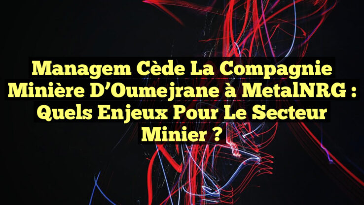 Managem cède la Compagnie Minière d’Oumejrane à MetalNRG : Quels enjeux pour le secteur minier ?