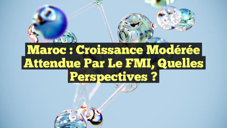 Maroc : Croissance Modérée Attendue par le FMI, Quelles Perspectives ?