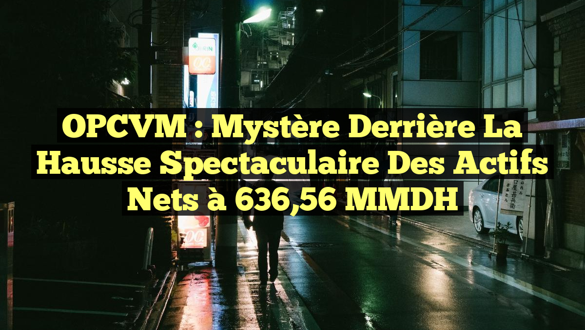 OPCVM : Mystère derrière la hausse spectaculaire des actifs nets à 636,56 MMDH