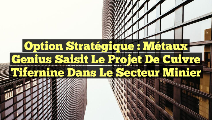 Option Stratégique : Métaux Genius Saisit le Projet de Cuivre Tifernine dans le Secteur Minier