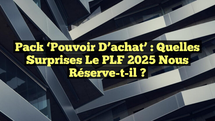 Pack ‘Pouvoir d’achat’ : Quelles surprises le PLF 2025 nous réserve-t-il ?