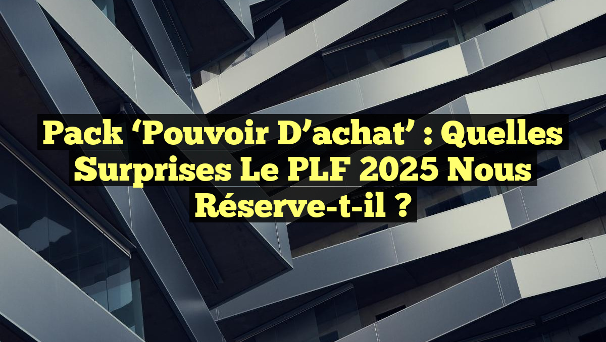 Pack &lsquo;Pouvoir d’achat&rsquo; : Quelles surprises le PLF 2025 nous réserve-t-il ?