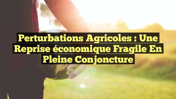 Perturbations agricoles : une reprise économique fragile en pleine conjoncture