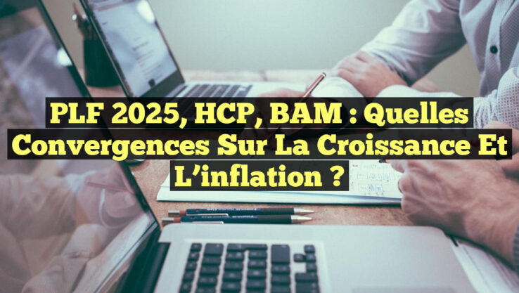 PLF 2025, HCP, BAM : Quelles convergences sur la croissance et l’inflation ?