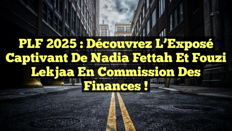 PLF 2025 : Découvrez l’Exposé Captivant de Nadia Fettah et Fouzi Lekjaa en Commission des Finances !