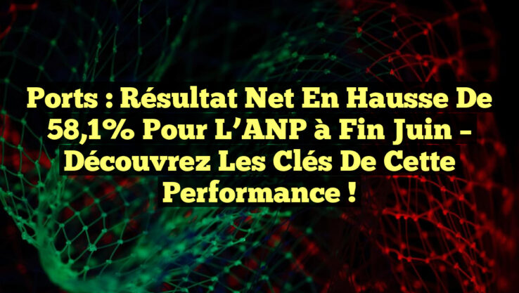 Ports : Résultat net en hausse de 58,1% pour l’ANP à fin juin – Découvrez les clés de cette performance !