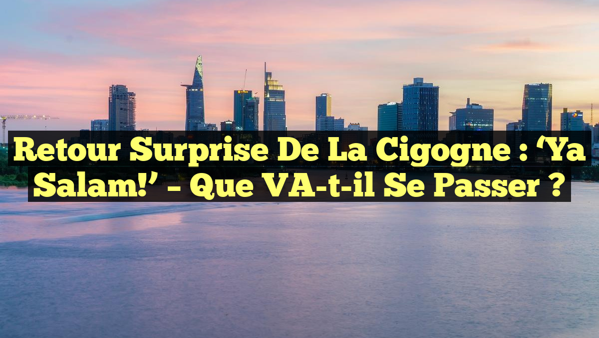 Retour Surprise de La Cigogne : &lsquo;Ya Salam!&rsquo; – Que VA-t-il se Passer ?