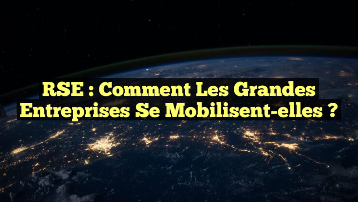 RSE : Comment les grandes entreprises se mobilisent-elles ?