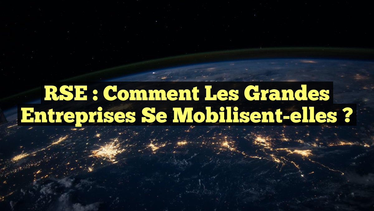 RSE : Comment les grandes entreprises se mobilisent-elles ?
