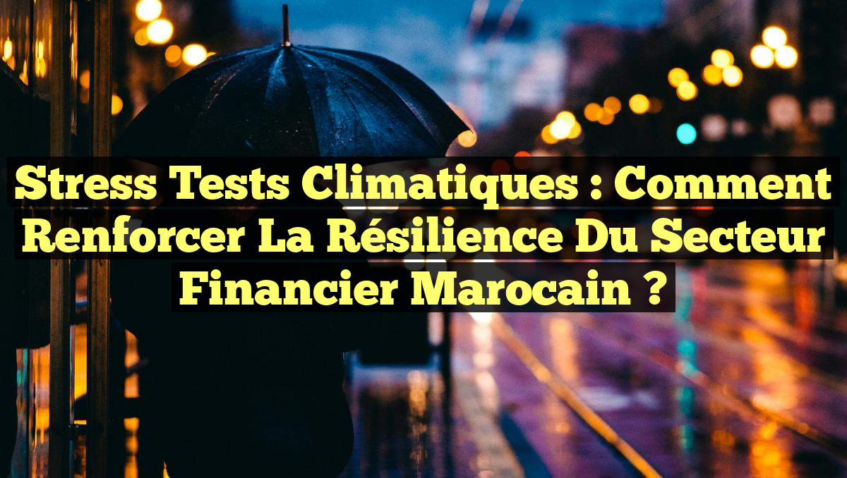 Stress Tests Climatiques : Comment Renforcer la Résilience du Secteur Financier Marocain ?
