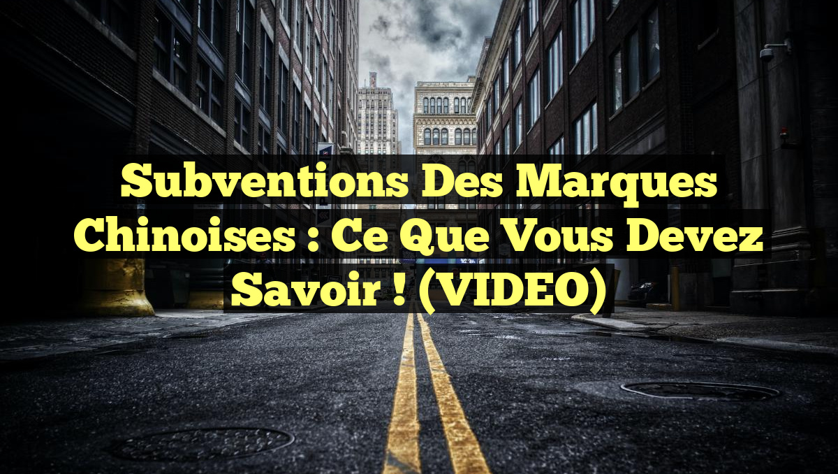 Subventions des Marques Chinoises : Ce Que Vous Devez Savoir ! (VIDEO)