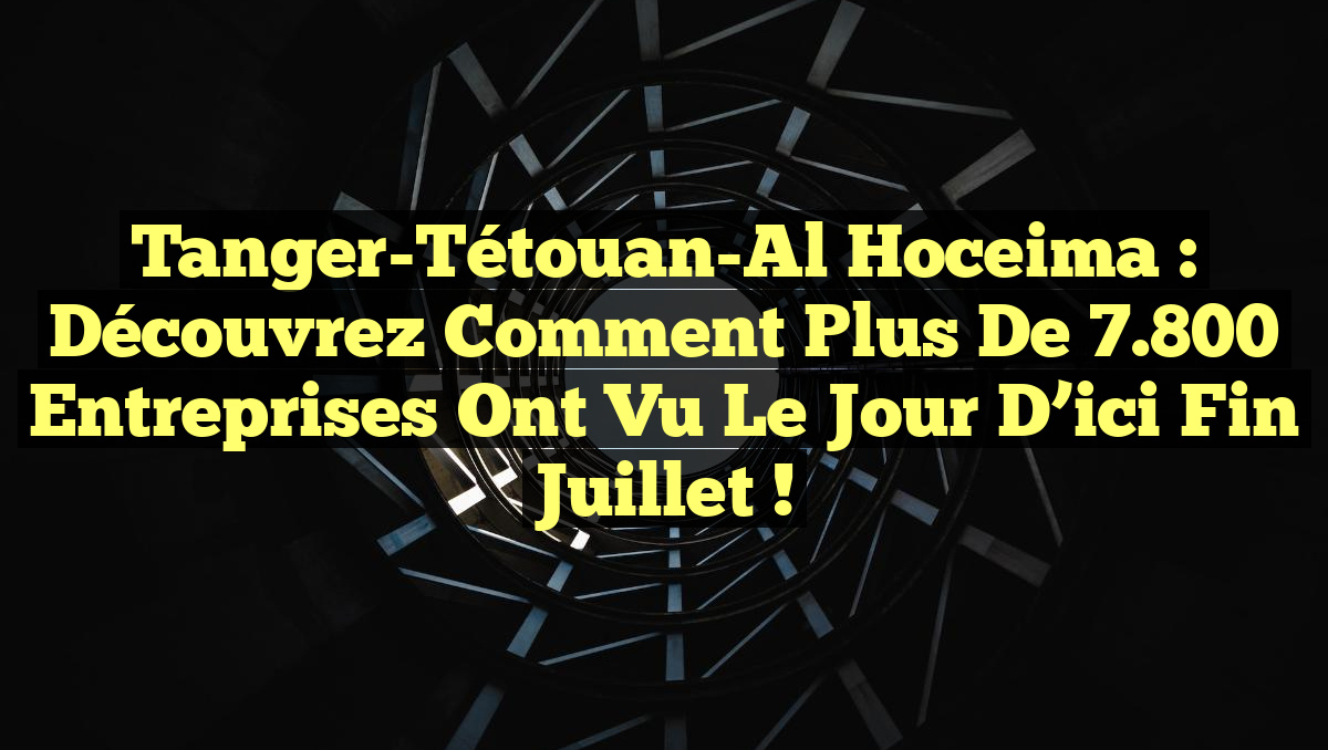 Tanger-Tétouan-Al Hoceima : Découvrez comment plus de 7.800 entreprises ont vu le jour d&rsquo;ici fin juillet !